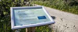 Kvist på sporet af Grenen