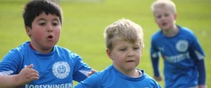 Mini Skaw Cup