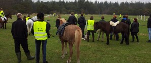 TREC på toppen i Aalbæk plantage lørdag den 26. september.