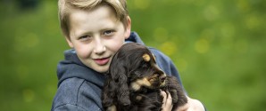 Har du kort på din hund?