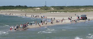 Sandormens billetpriser i 2016