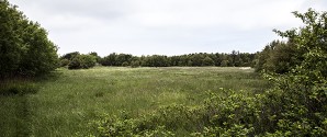 Borgermøde om etablering af regnvandssø i Nordbyen