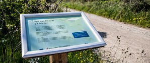 Vintertur på Grenen