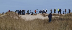 Fuglene mødes i Skagen