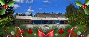Firmajulefrokost i Ålbæk