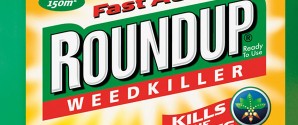 Kommunen vil afvikle brug af round up