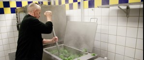Grønlangkål i lange baner