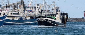 Der blev landet fisk for knap én milliard kroner i Skagen Havn i 2016
