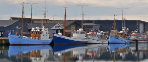 Skagen Fotoklub præsenterer ugens foto