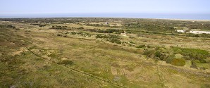 Stor efterspørgsel på naturvejledning