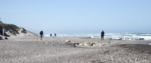 Læserbrev: Oprydning i Gl. Skagen