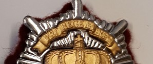 Politiet fremlyser tyvekoster