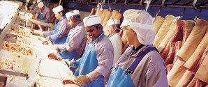 47 ledige fra Frederikshavn Kommune har fået job på Danish Crown