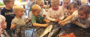 Mattisborgen gik i fisk