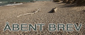 Åbent brev til borgmesteren