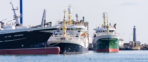 Rekordstor mængde fisk er landet i Skagen Havn i 2017