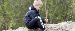 Invitation til Store Plantedag