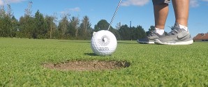 Har du lyst til at prøve at spille golf ?