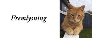 Savner du din kat?
