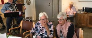 Sommerfest på Lindevej