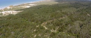 Den nordjyske natur får endnu mere plads