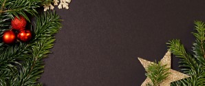 Jul med Rosenhaven