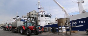 Fiskeriet i Skagen havn runder én milliard kroner i 2018