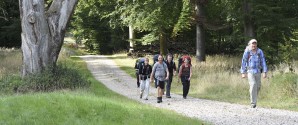 Kom godt i gang med Vandring