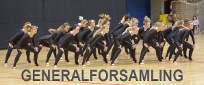 Generalforsamling i gymnastikforeningen af 1976