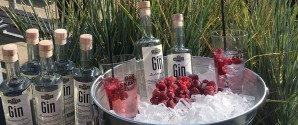 Danmarks første gin med destilleret øl er lavet i Skagen