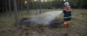 Tåber havde bål i skoven