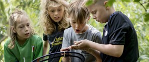 Penge til bålfade, bolde og bistader skal få flere skolebørn ud i det fri