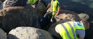 Det er utroligt hvad der smides i havnen