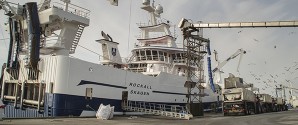 Næsten halvdelen af landets fisk landes nu i Skagen