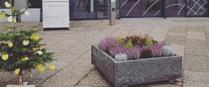 Læserbrev: Og så det berømte MEN!