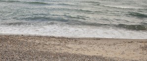 Rene strande er blevet en sand folkesag