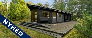 EDC Ole Bo præsenterer Cassiopeiavej 3, Skiveren