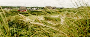 Feriehusbranchen advarer: Pas på falske udlejere i sommerlandet