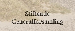 Stiftende generalforsamling