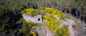 Tag med Kystmuseet på en spændende tidsrejse i Bunken Klitplantage