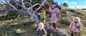Tag ungerne med ud til “Mariehøne Træet”