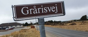 2-1-vej mellem Grårisvej og Hulsigstien syd for Skagen