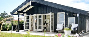 Her er de mest opsigtsvækkende glemte sager fra landets sommerhuse