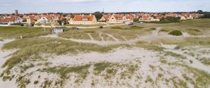 Klitsagen: Betinget fængsel og samfundstjeneste