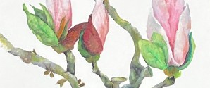 Lokal blomstermaler udstiller i Vilde Vaser