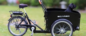 Tyveri af dyre cykler stikker helt af