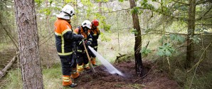 Brand i myretue!