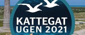Oplev Kattegatkysten ved Det Grå Fyr