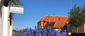 International hotelkæde styrker Skagen