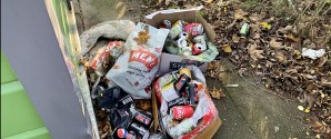 Skamplet: Losseplads på Hamiltonvej
